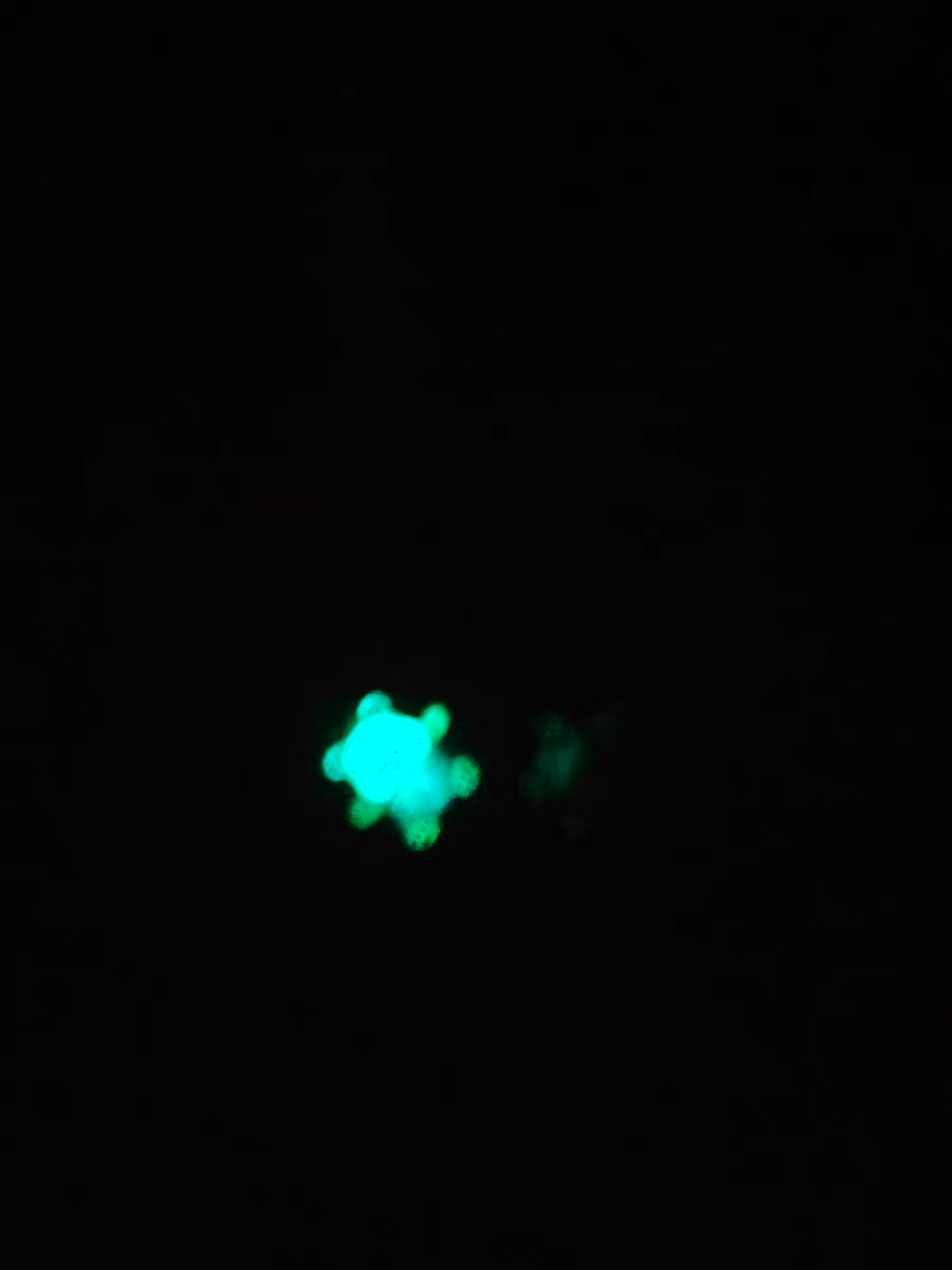 【7-15 days waiting】Night Glow Little Bear